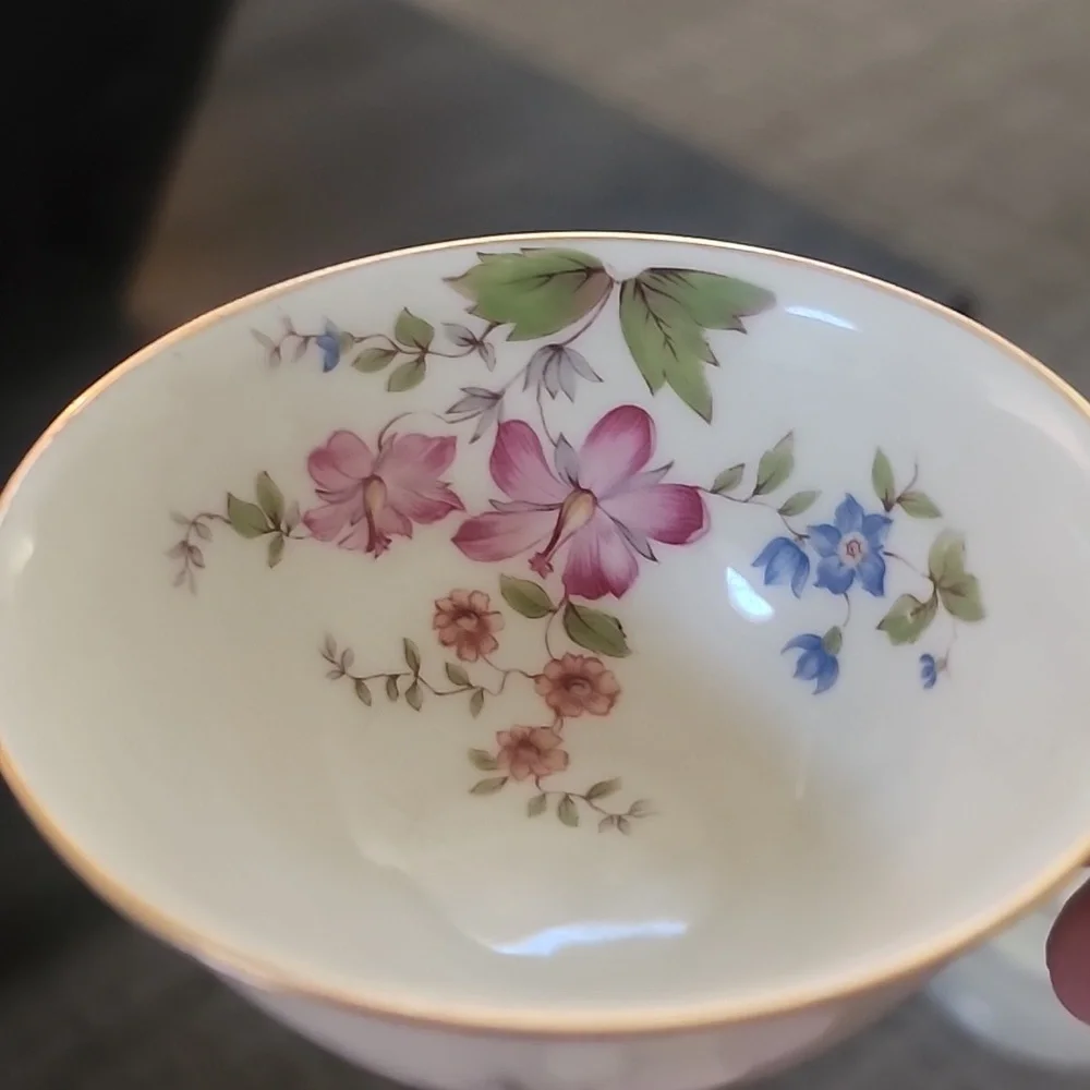 H&C Co. Selb Bavaria Germany Heinrich Teacup And Saucer,  Cream Color